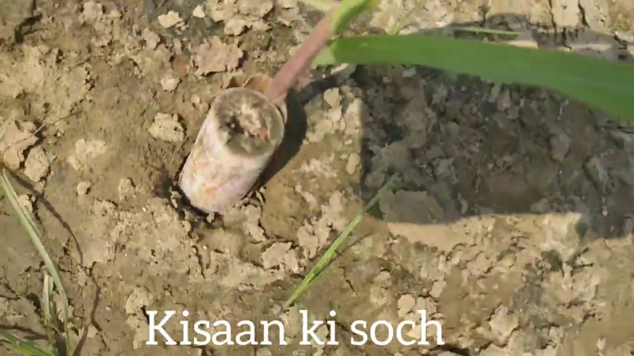 मुफ्त में जानकारी (6),या वीडियो देख लो  बहुत काम की बात है डिस्क्रिप्शन में फोन नंबर है,