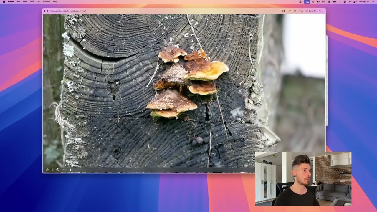 Organize Footage in Seconds With AI Generated Metadata | VideoTagger