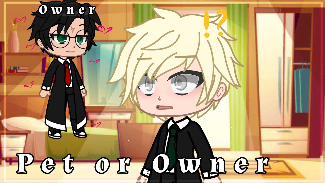 Pet or Owner... |Drarry Meme | Gacha Club | Not Original | Trend ||