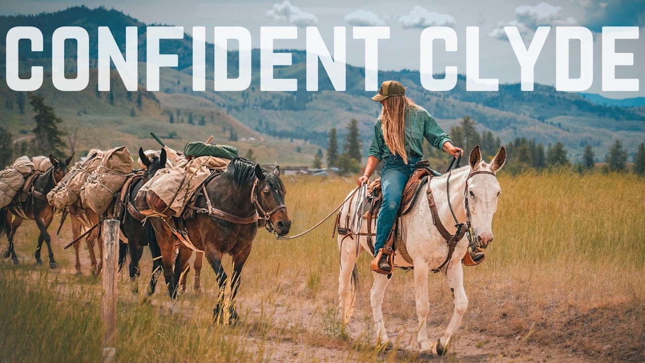 How My Mule Learned to Lead a Pack String in 3 Days