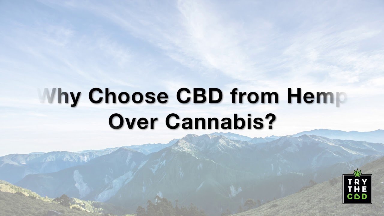Try The CBD Blog - THC vs CBD - What does it matter