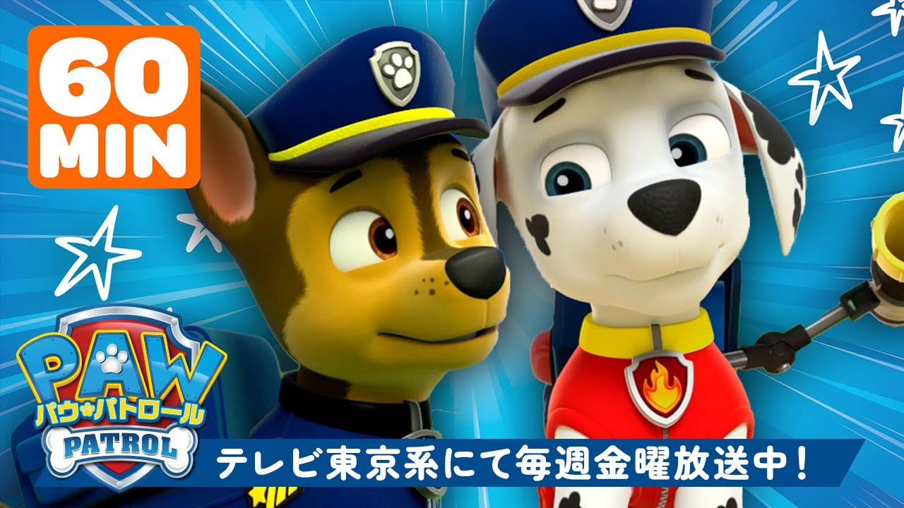 パウ・パトロール | チェイス＆マーシャルの最高のレスキューミッション！🚨 | １時間まとめ | テレビ東京系にて放送中