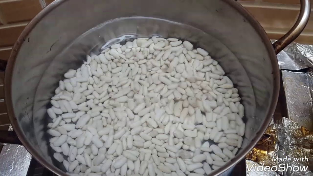ئامادەکردنی مەرەگەی فاسۆلیا