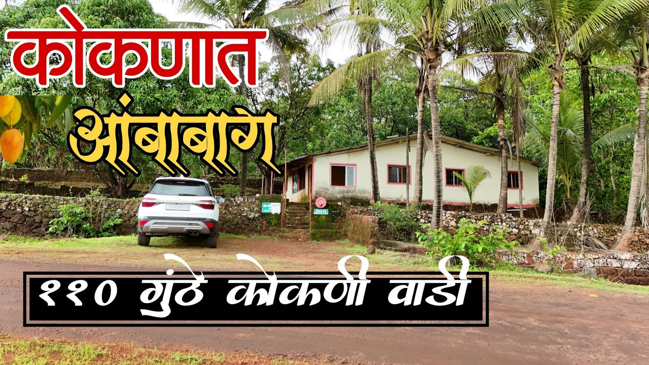 कोकणात आंबाबाग !! 110 गुंठे कोकणी वाडी !! बोरगाव, चिपळूण प्रॉपर्टी !!#property