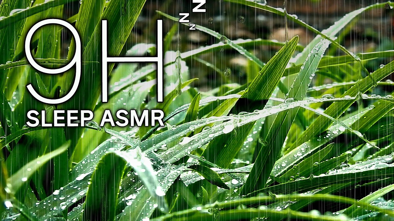 Rain ASMR 9 Hours 🌧️ Rain on Leaves for Deep Sleep | No Music (Black Screen after 1h)