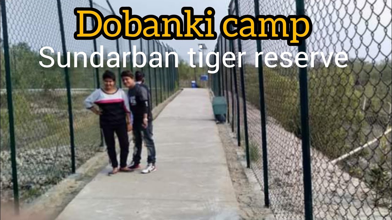 inside sundarban | Sundarbandiaries: Dobanki watch tower |mangrove forest