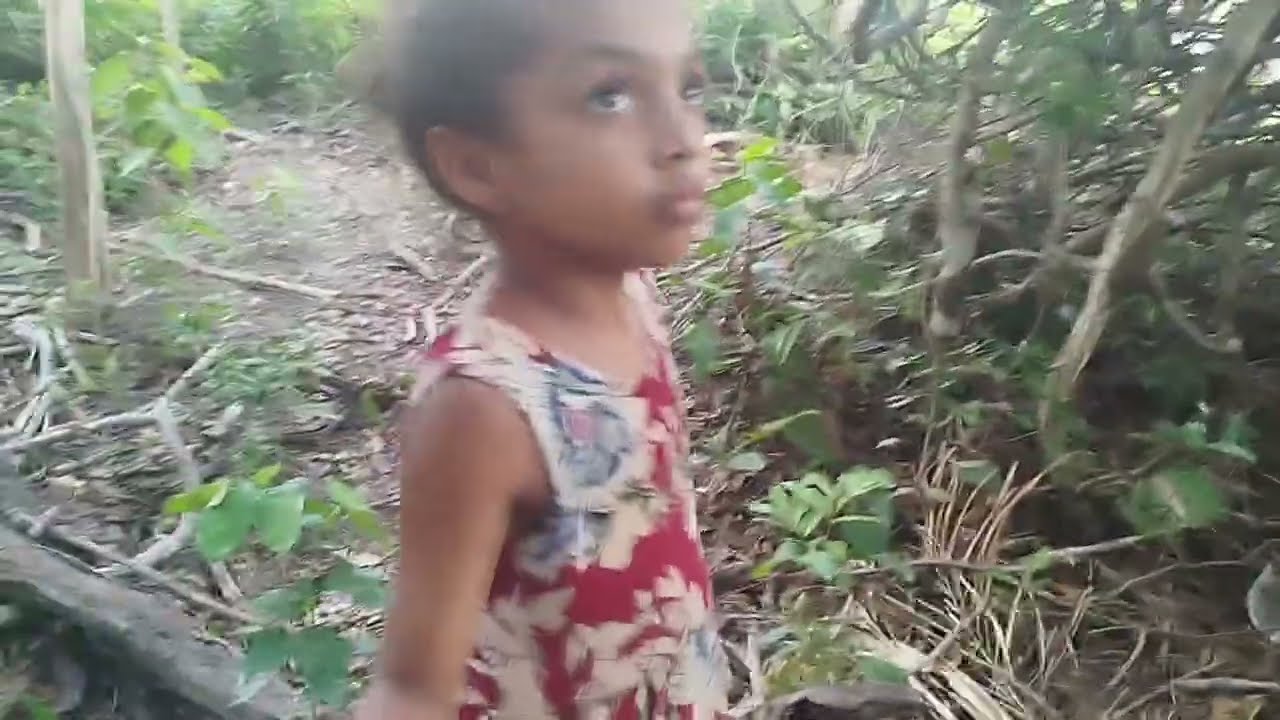 Catando guabiraba preta 