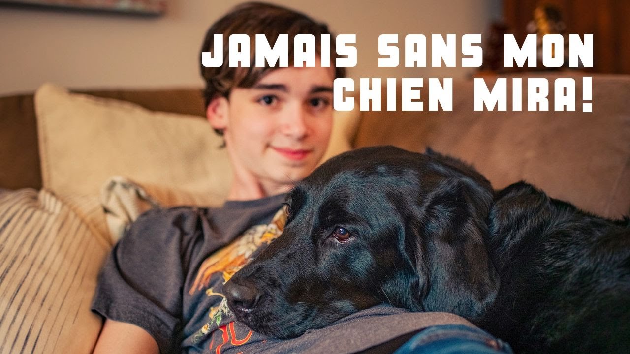 Jamais sans mon chien Mira! - Unis TV
