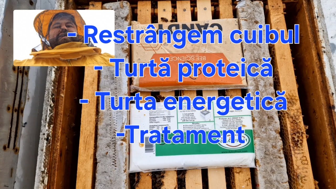 Restrângem cuibul, turtă proteică și tratament. 