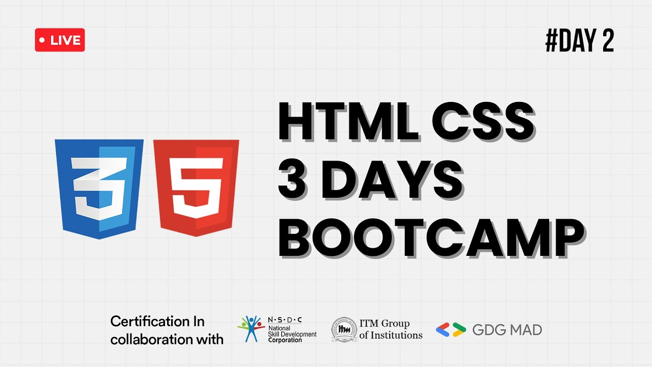 Day 2 | Styling and Layout with CSS