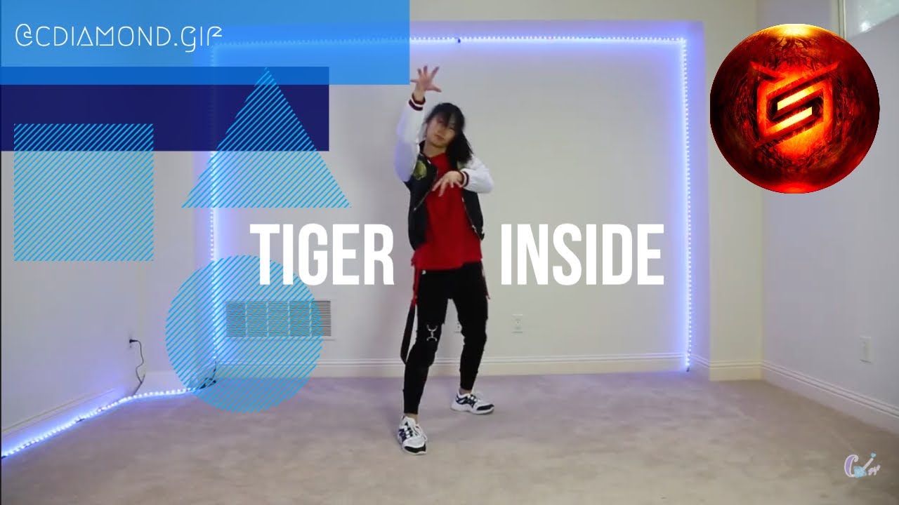 SUPERM TIGER INSIDE 호랑이 — dance cover by Crystal