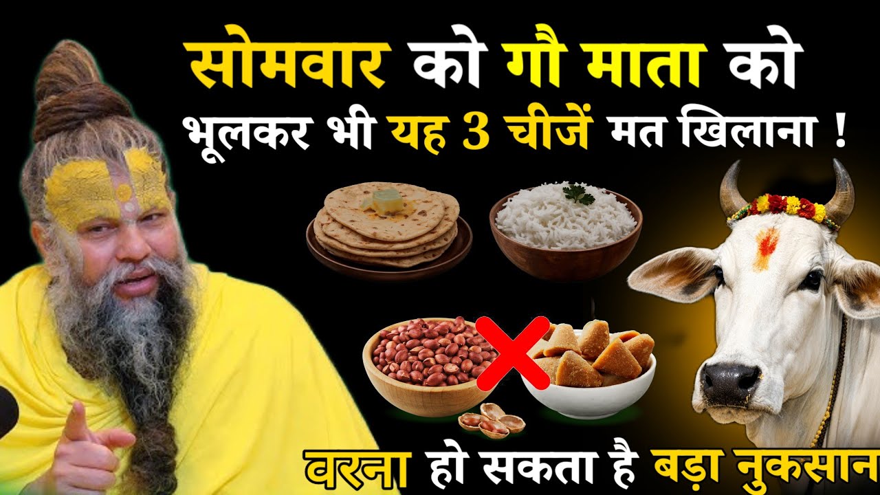 सोमवार को गौ माता को भूलकर भी यह 3 चीजें मत खिलाना | वरना हो सकता है बड़ा नुकसान