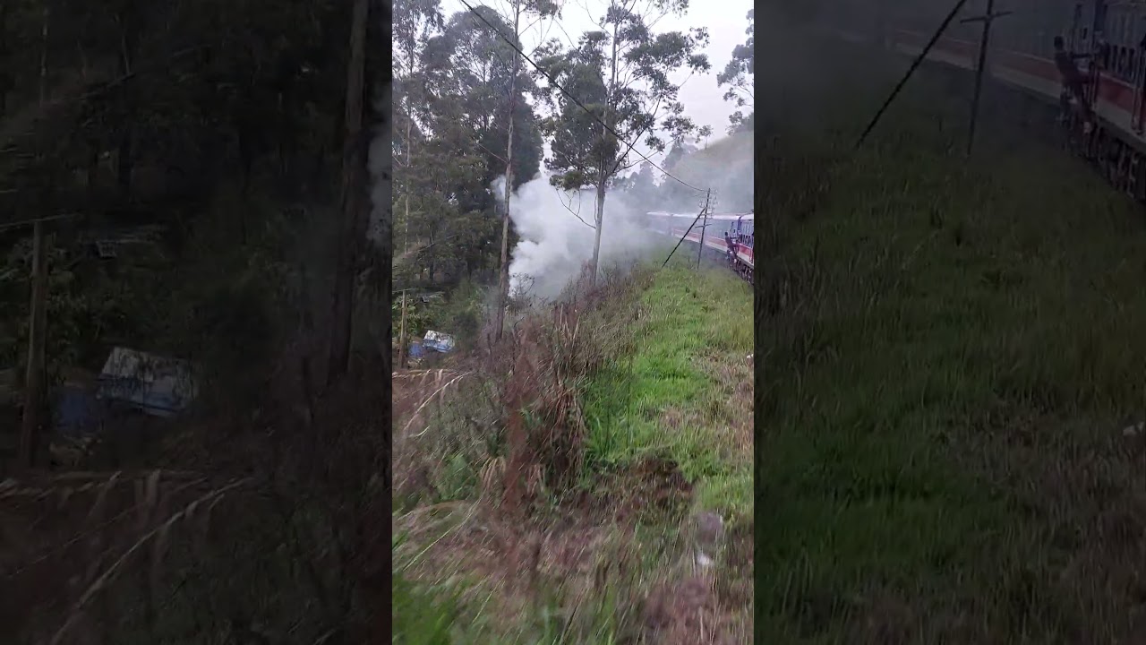 Train Ride Joy #viral #trending #subscribe #srilanka #train