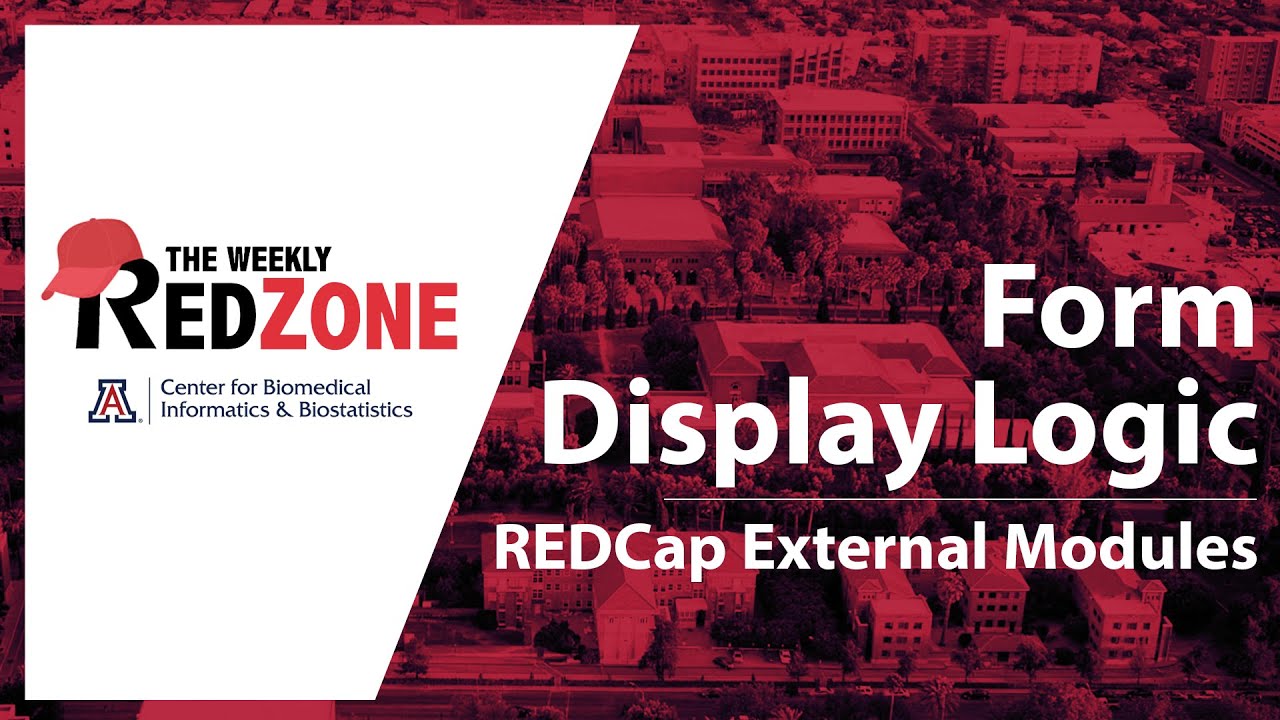REDZone - Form Display Logic