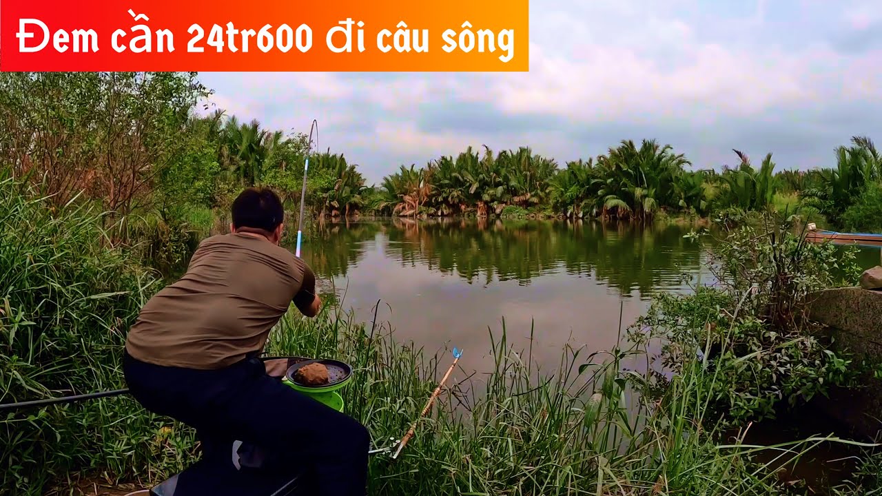 ✅ Câu cá, câu đài Sông Sài Gòn, Bình Chánh, bằng cây cần 24tr600 | DUY FISHING