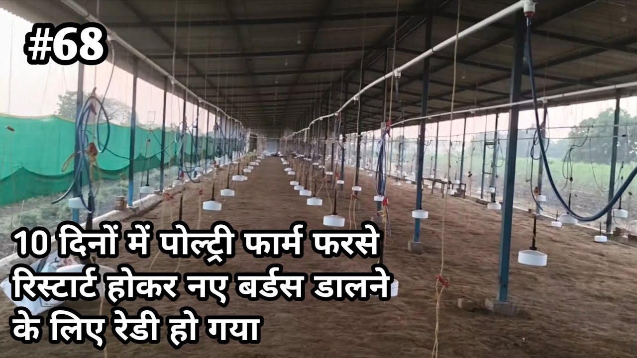 2 सेकेंड लोट के लिए फार्म फरसे रेडी हो गया | फर्स्ट लोट से कितनी कमाई हुई फुल डिटेल विडियो 
