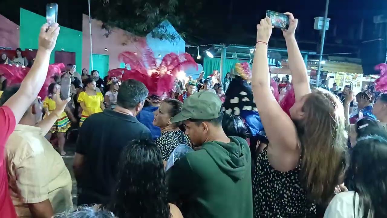 BOI PAVÃO  DA CIDADE DE LIMOEIRO  -  PORTO DE GALINHAS 