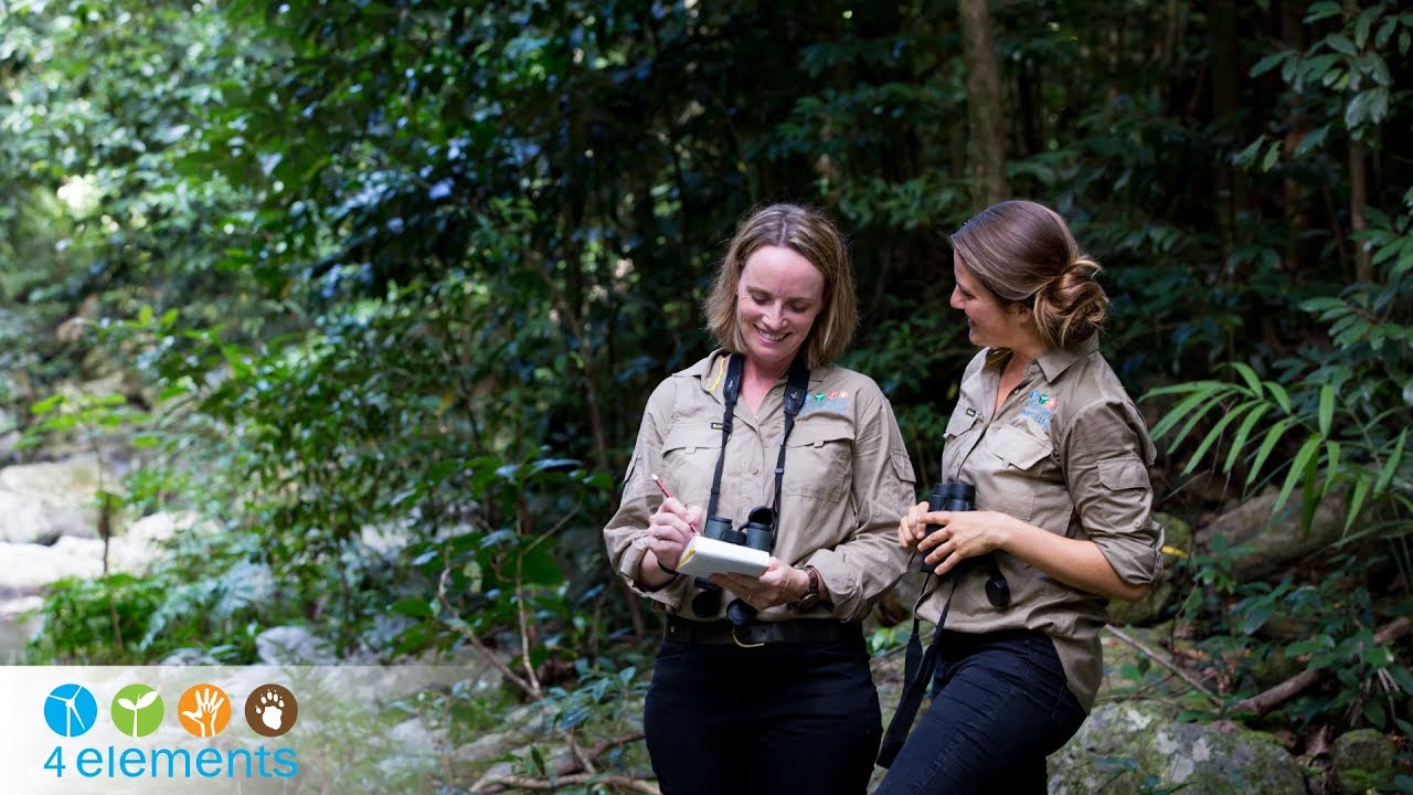 4 Elements Consulting - Environmental Consulting Cairns Introduction Video