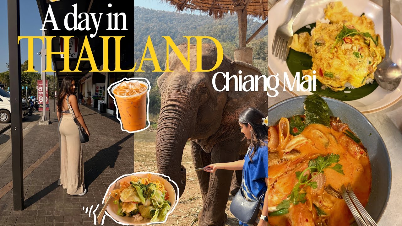 A Day in Life in Thailand🇹🇭 | Elephant Tour🐘🌸| Carp Cafe🐠, Chiang Mai✨