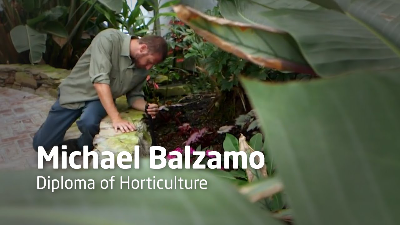 Study Horticulture in Australia | Chisholm | Michael