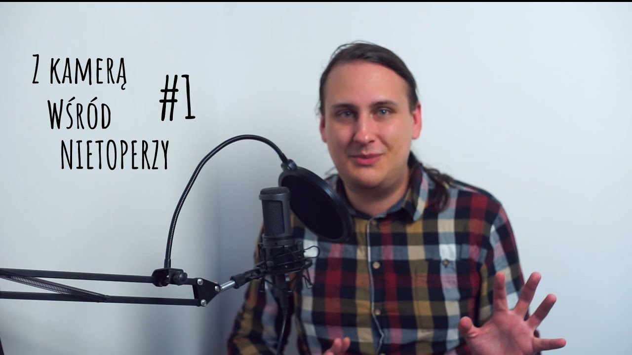 Z kamerą wśród nietoperzy #1 – fotografia w służbie audio