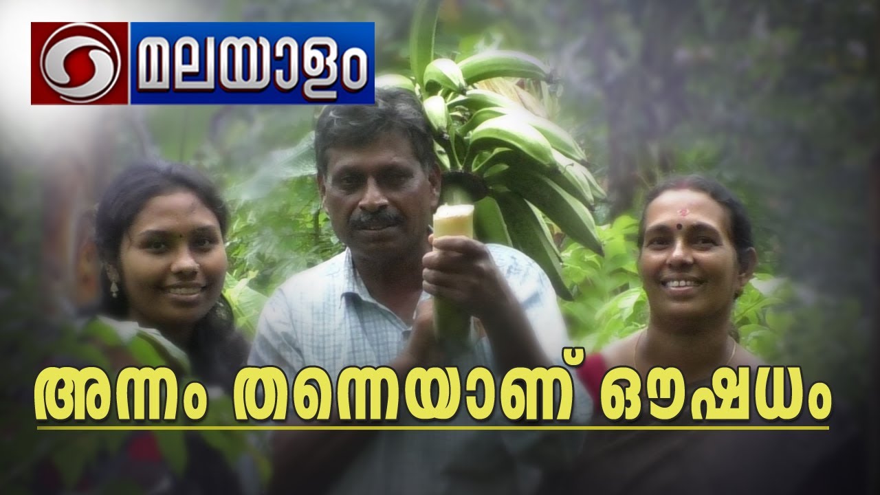 അന്നം തന്നെയാണ് ഔഷധം || Annam Thanneyanu Oushadham || DD KRISHI DARSHAN