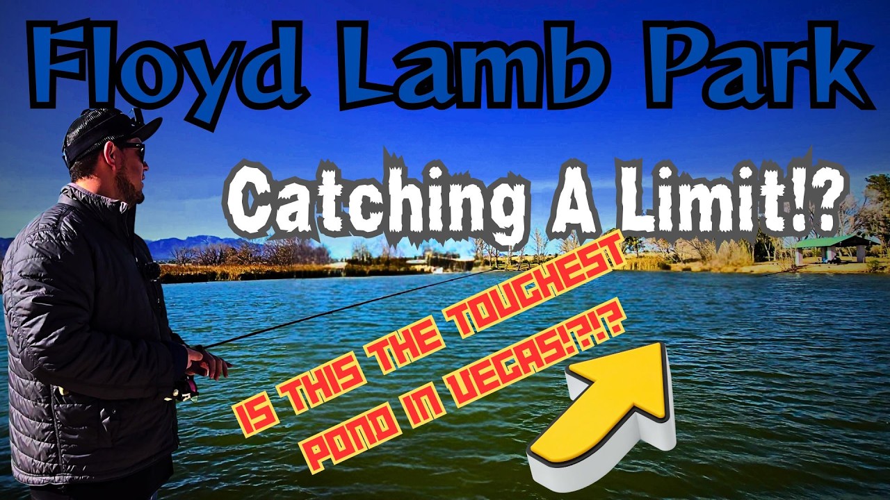 Catching Trout In Dirty Waters!?  Floyd Lamb Park Fishing!