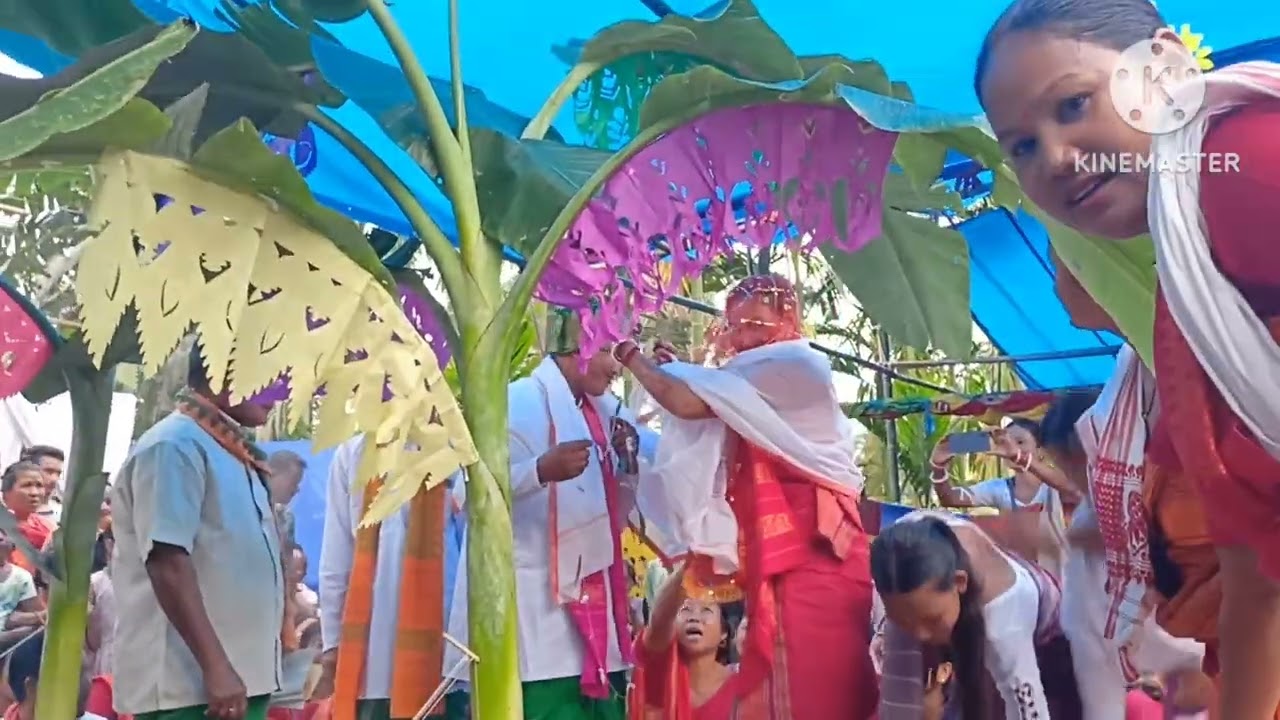 Hinjao gwdan boraibai