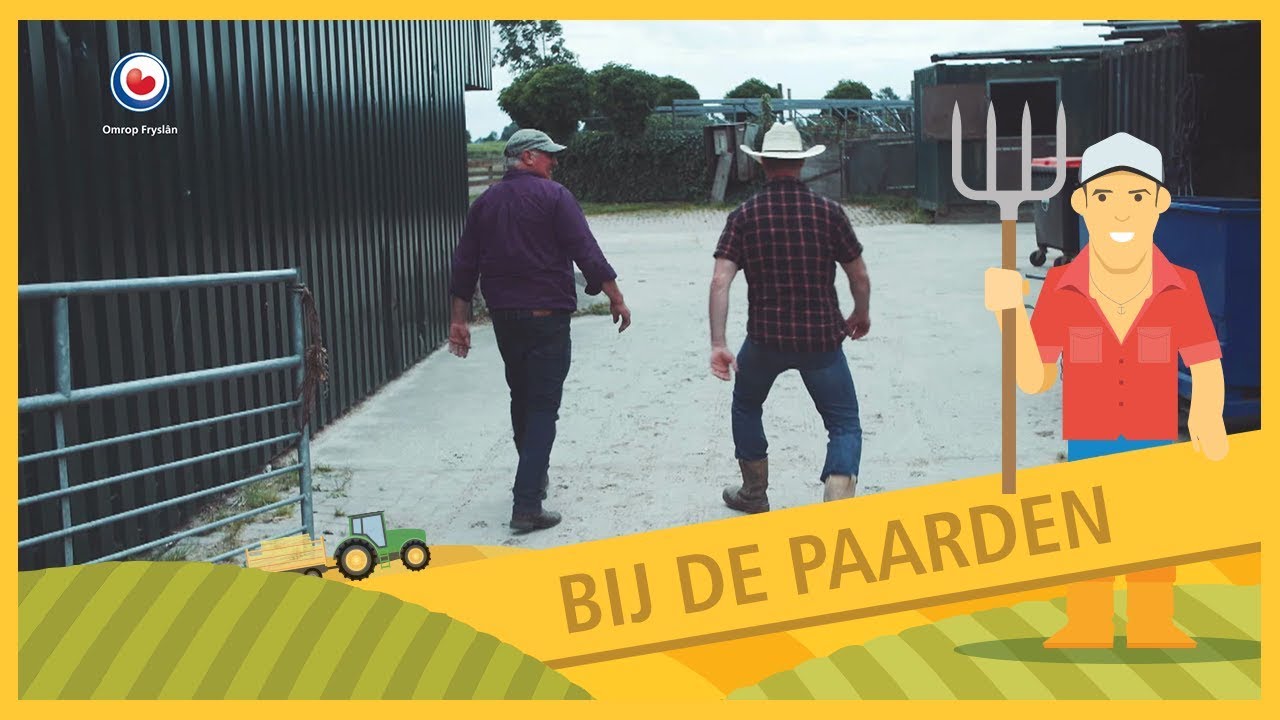 BUORKJE FOAR BEGJINNERS: Bij de paarden