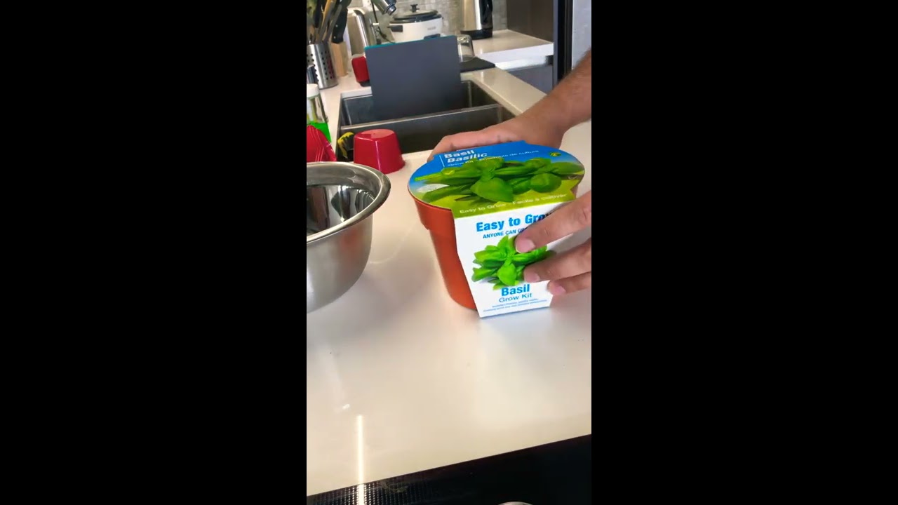 Easy to Grow Kit Basil: Dollar Store (Dollarama) Step by Step