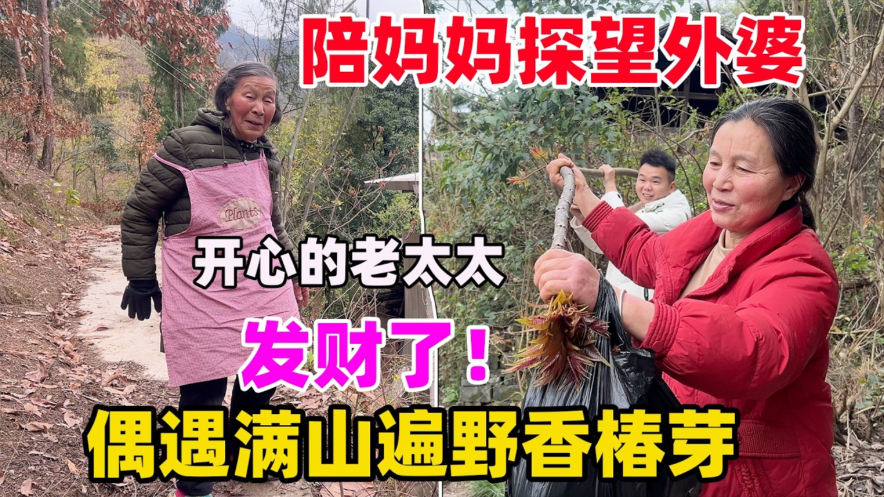 发财了，去外婆家遇到满山遍野的香椿，拿到城里几十块一斤，给妈妈乐得合不拢嘴，摘的叫不回家了