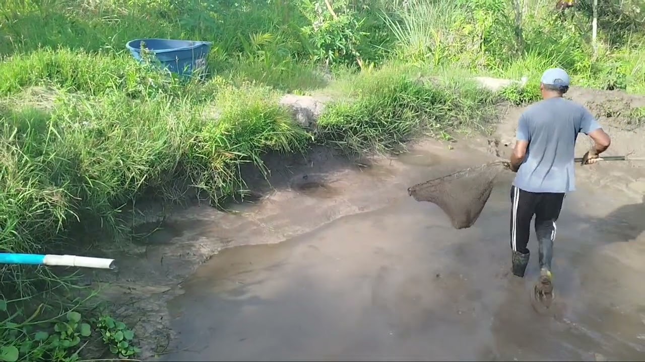 ESVAZIANDO e LIMPANDO o poço 