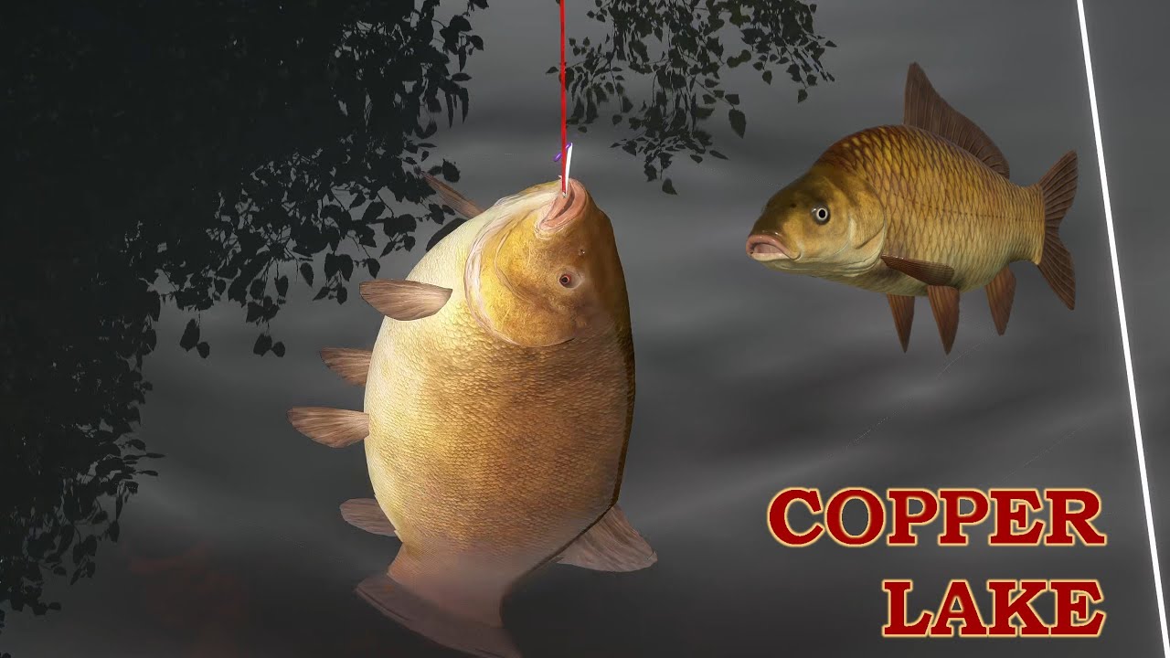 NO PVA Trophy Spot Tench & F1 Copper Lake | Russian Fishing 4 #carpfishing  #carp