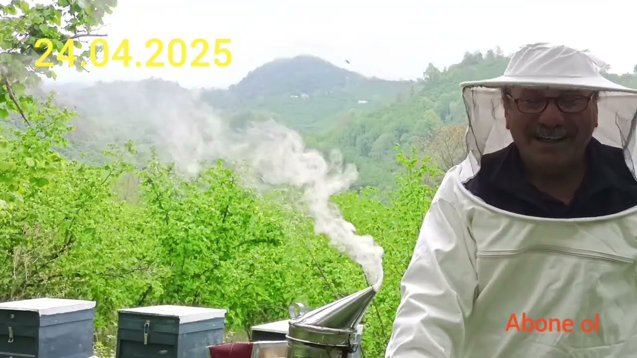 Oğul Arısına Süreklilik Kazandırma ve Mevsime Hazırlama.