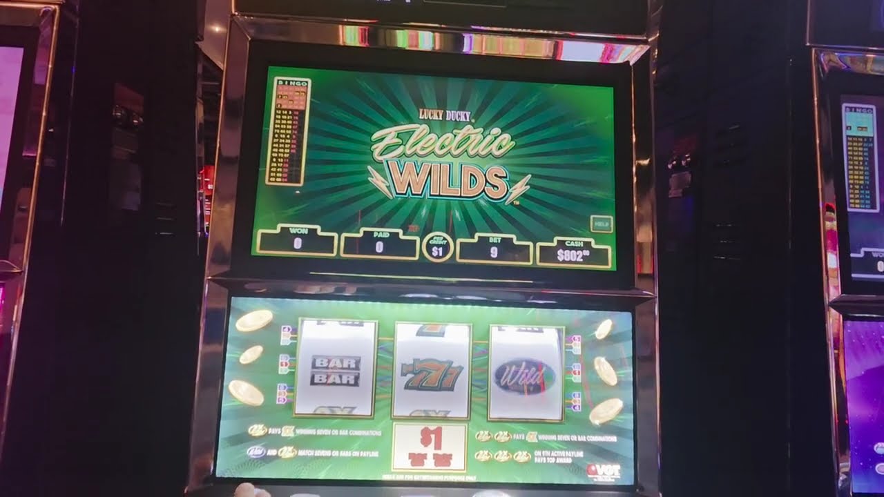 Polar High Roller Lightning Wilds/Lucky Ducky Electric Wilds VGT High Limit.