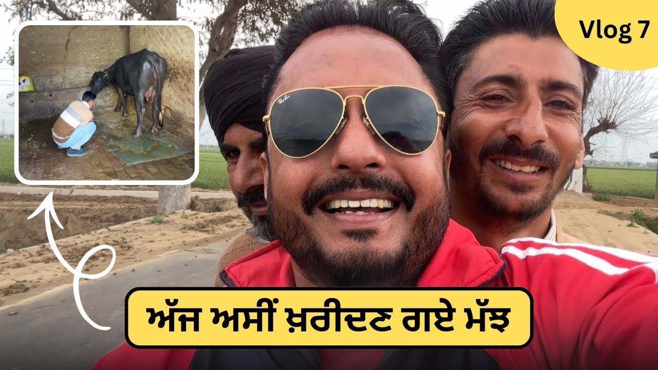 ਅੱਜ ਅਸੀਂ ਬਣੇ ਮੱਝਾ ਦੇ ਵਪਾਰੀ 🐃 । Funny Punjabi Vlog । Vlog 7