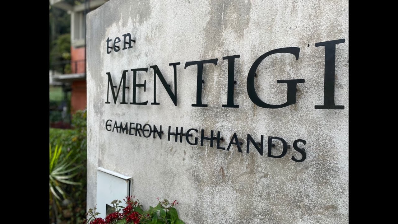 Ten Mentigi Cameron Highland. Our family review
