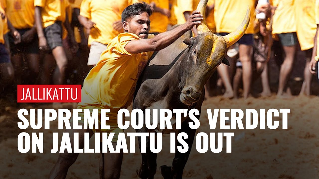 Supreme Court upholds validity of Jallikattu but directs states to balance tradition & animal safety