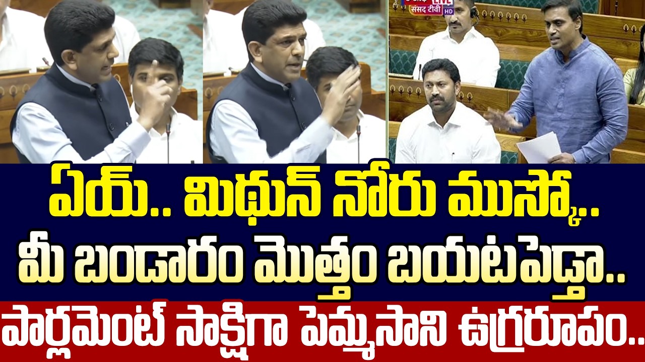 Telugu Speechతో ఇచ్చిపడేసిన Pemmasani | Pemmasani Powerful Speech In Parliament  | Cloud Media