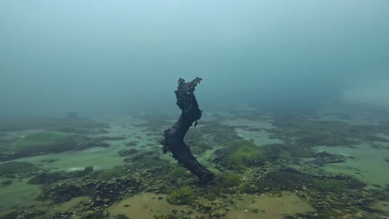 Lago di Capodacqua. 2025