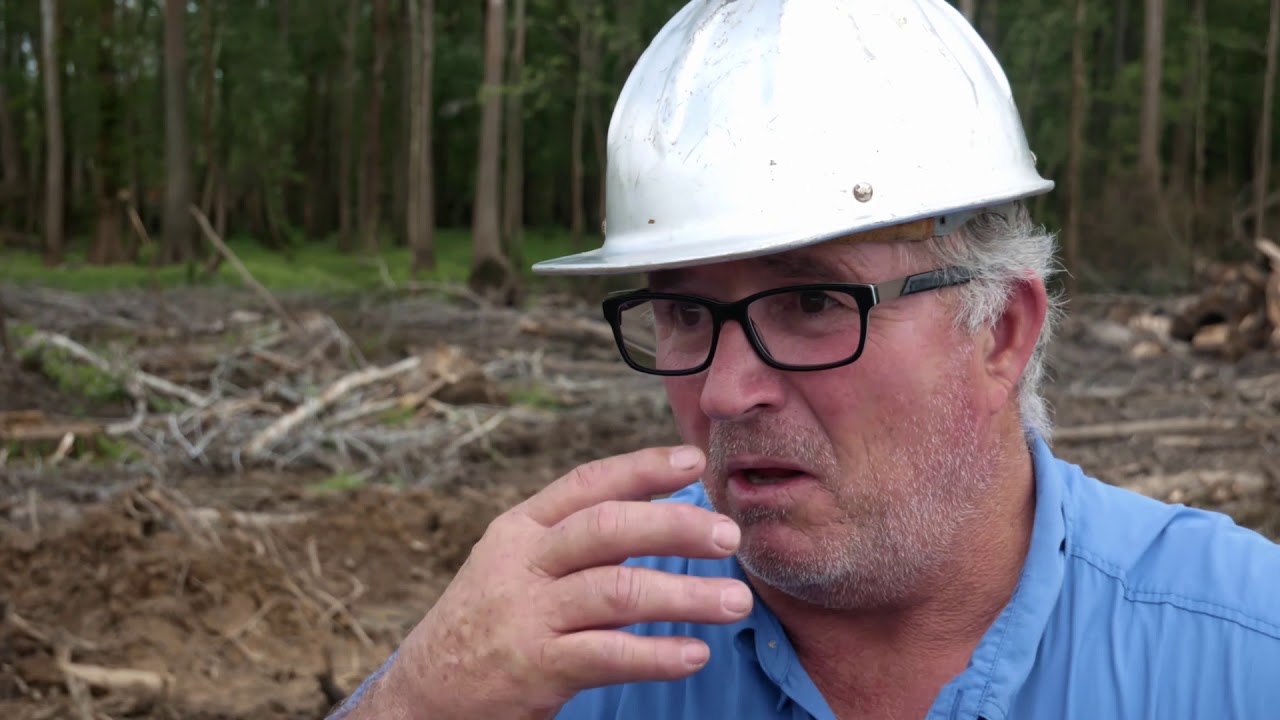 SWAMP LOGGERS NC / 