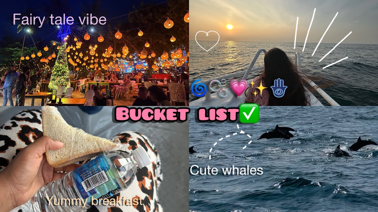 Whales watching🐋|Aesthetic night at beach 🥂🌺| Cute ඩොල්ෆින්ස්ලා එක්ක ගෙවුණු දවස🍒✨ @Ema-Rathnayaka