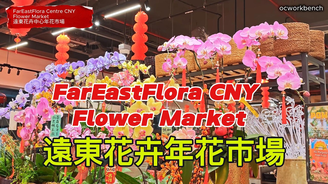 FarEastFlora Centre CNY Flower Market 遠東花卉中心春節花卉市場 #chinesenewyear #lunarnewyear
