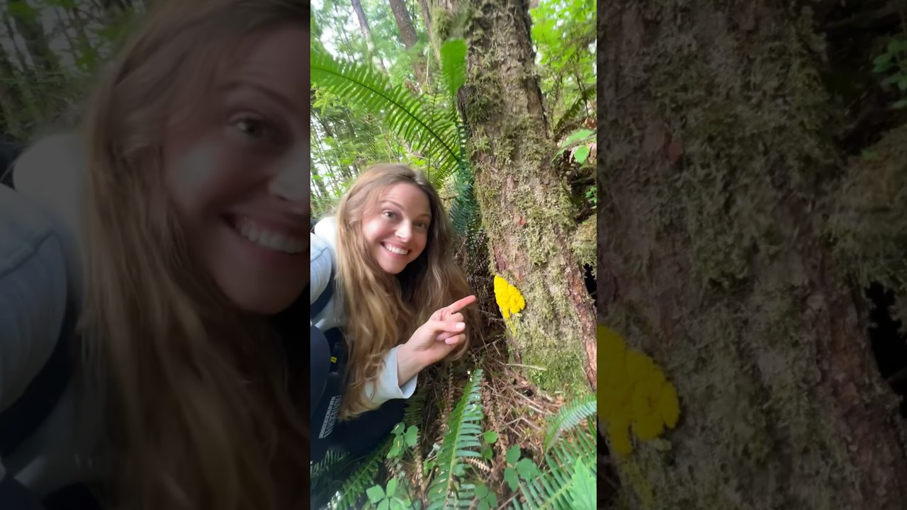 Dog Vomit Slime Mould! 🦠🤩