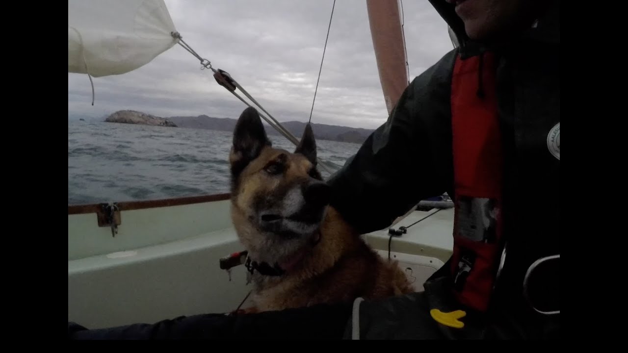 Sailing with my dog in Mexico
