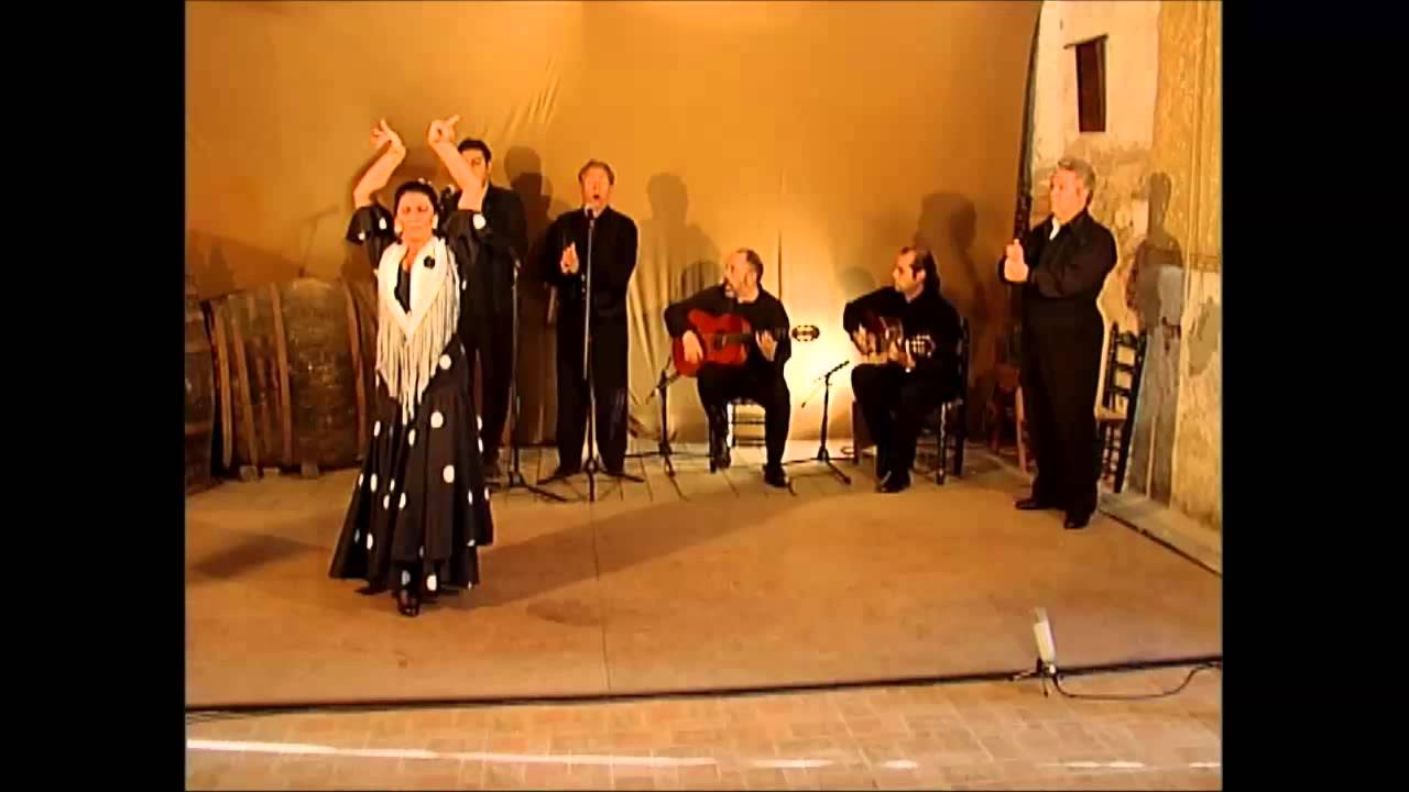 Baile Flamenco Volumen 2 parte 2   caña
