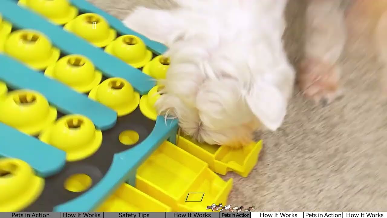 KADTC PLAYGROUND DOG PUZZLE TOY LEVEL 4 IN 1