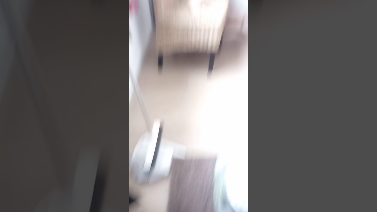 Fidit