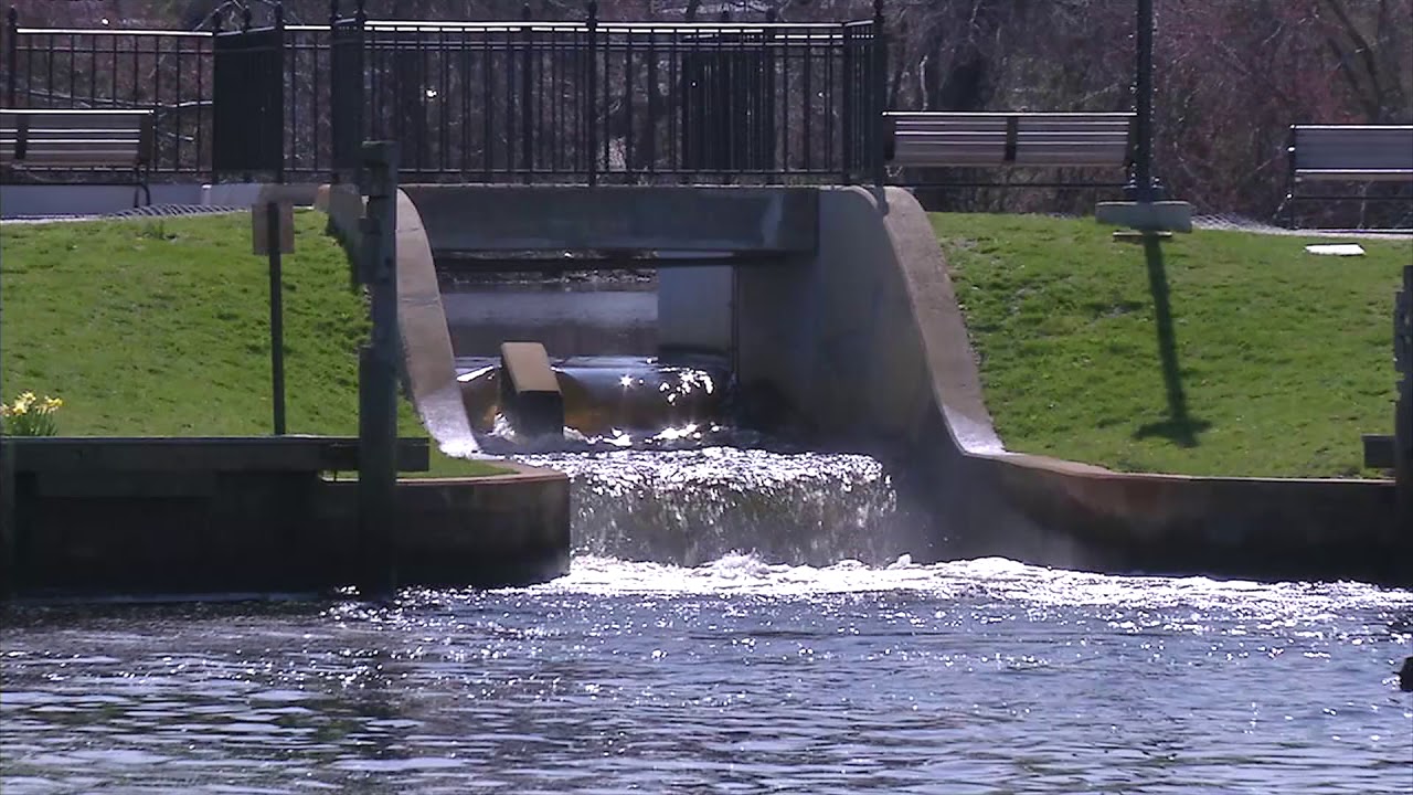 Fish Ladders