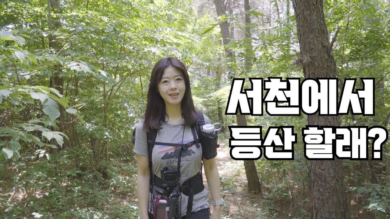 서천여행 힐링되는 치유의 숲길 희리산 문수산 등산